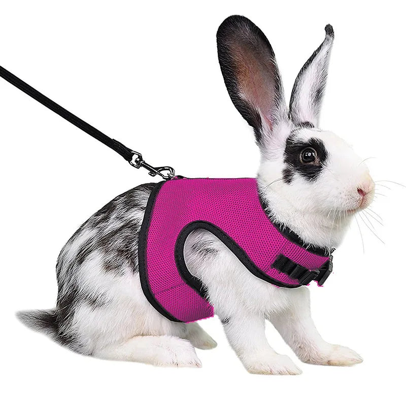 Summer Breathable Mesh Leash Harness for Guinea Pigs, Rabbits, Ferrets