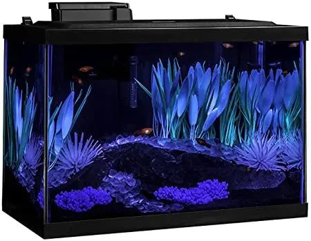 Aquarium Kit With LED Lighting And Decor Fish Tank Setup