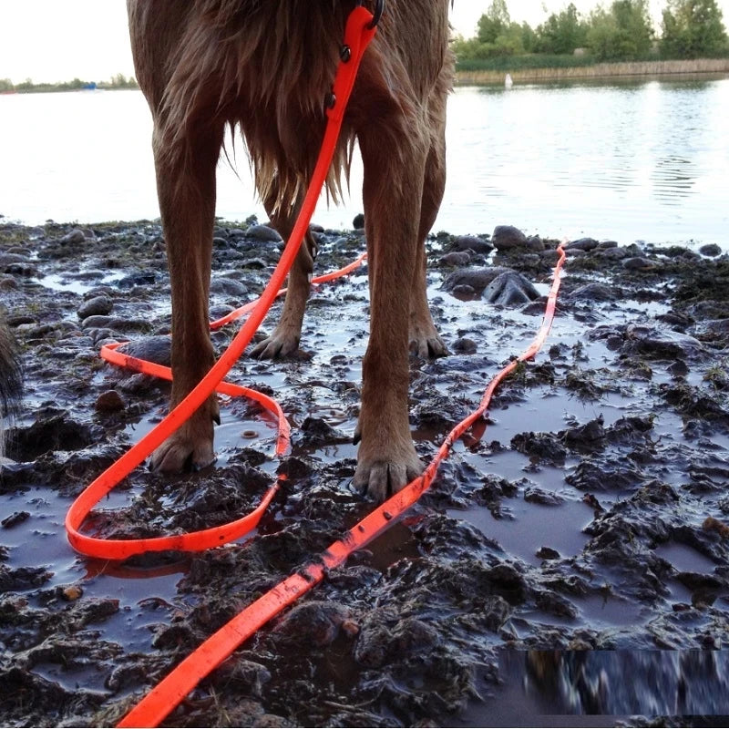 Livepetsme Waterproof Dog Leash Long PVC Training Lead