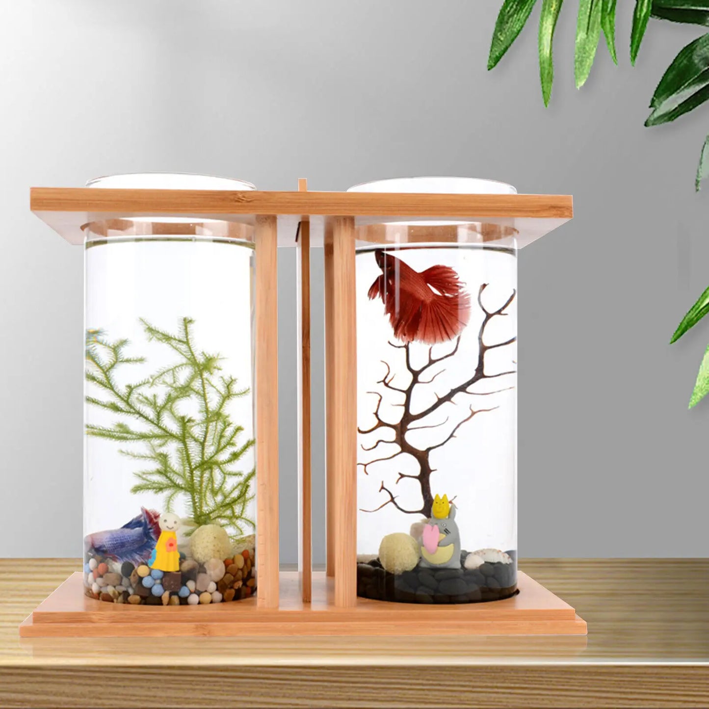 Glass Betta Fish Tank With LED Light And Bamboo Base