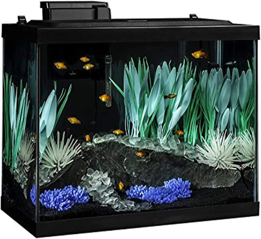 Aquarium Kit With LED Lighting And Decor Fish Tank Setup