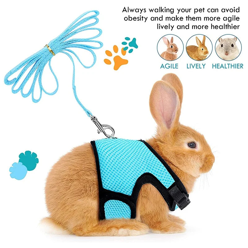 Summer Breathable Mesh Leash Harness for Guinea Pigs, Rabbits, Ferrets
