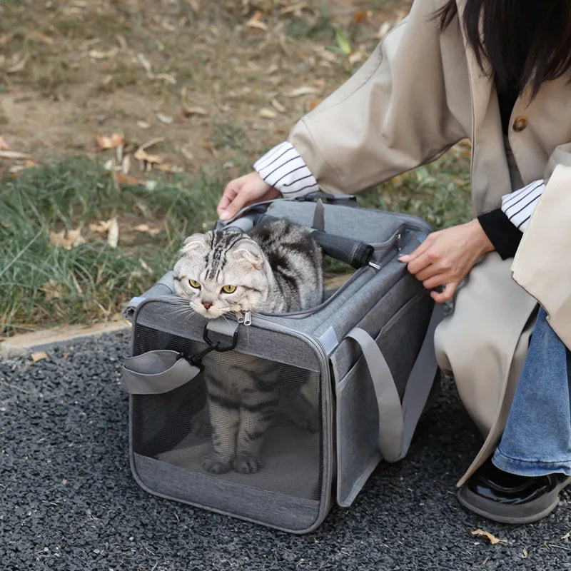 Portable Expandable Pet Travel Bag Soft Sided Breathable Transparent Carrier