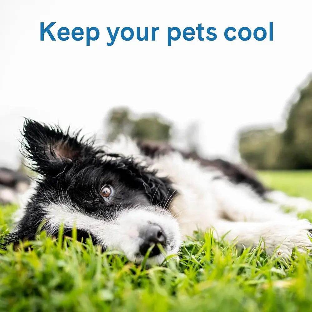 Cool Pet Pad NonToxicGel Cooling Bed For Dogs And Cats