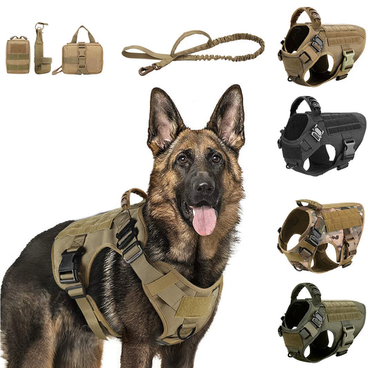 PETRAVEL Dog Harness And Leash Set For Training And Walking
