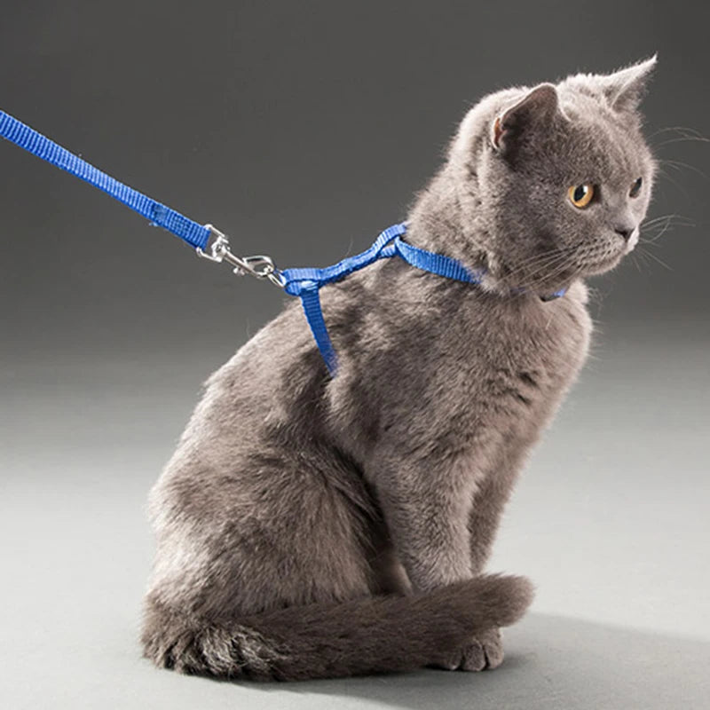 XLeiPet Adjustable Cat Collar Harness Set For Pets