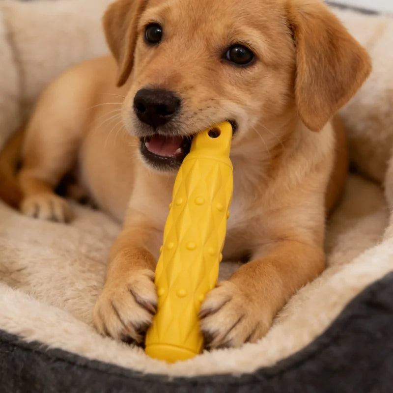 Dog Tough Chew Toy Rubber Stick Indestructible Safe Joint Play