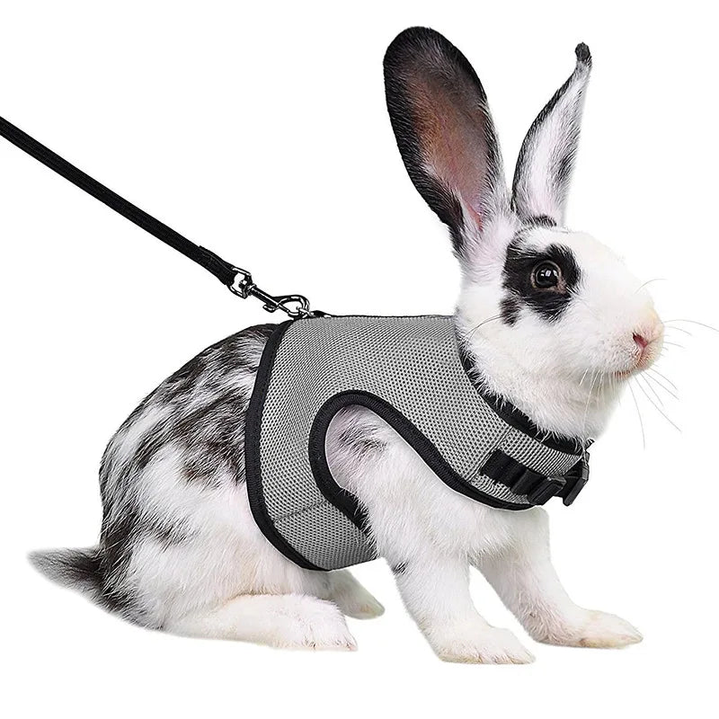 Summer Breathable Mesh Leash Harness for Guinea Pigs, Rabbits, Ferrets