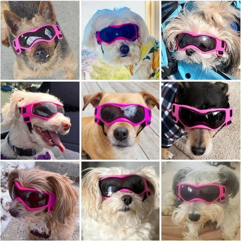 UV Protective Goggles For Dogs And Cats Outdoor Pet Eyewear