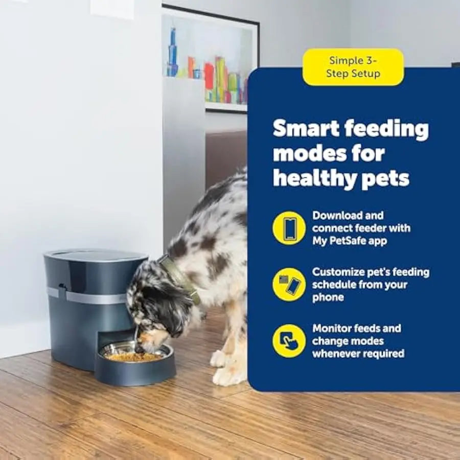 PetSafe Smart Feed Electronic Pet Feeder With Programmable Mealtimes