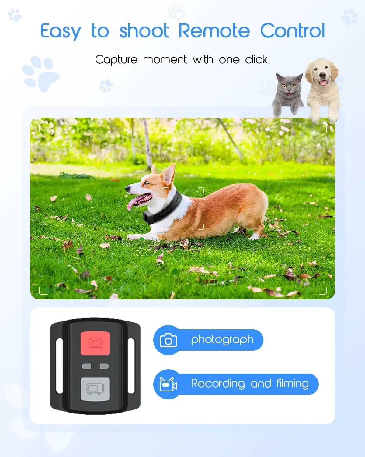 4K Feline Collar Camera With 64GB SD Card And WiFi