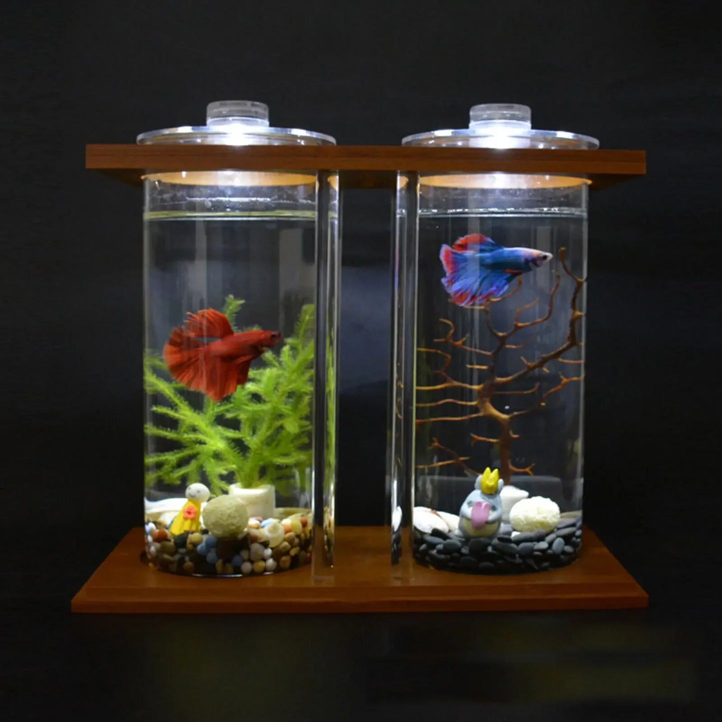 Glass Betta Fish Tank With LED Light And Bamboo Base