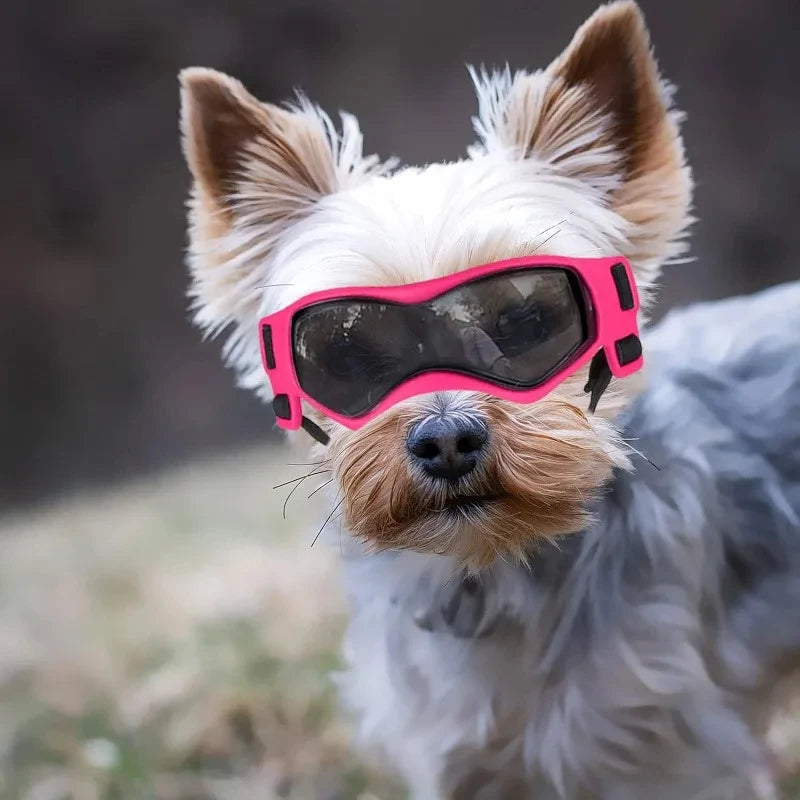 UV Protective Goggles For Dogs And Cats Outdoor Pet Eyewear