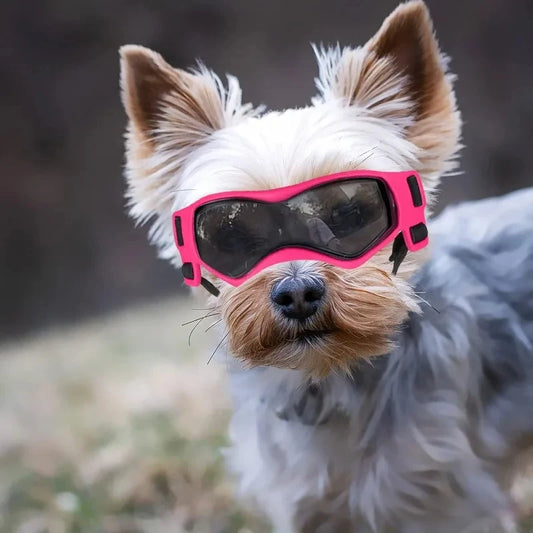 UV Protective Goggles For Dogs And Cats Outdoor Pet Eyewear