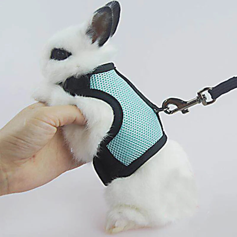 Summer Breathable Mesh Leash Harness for Guinea Pigs, Rabbits, Ferrets