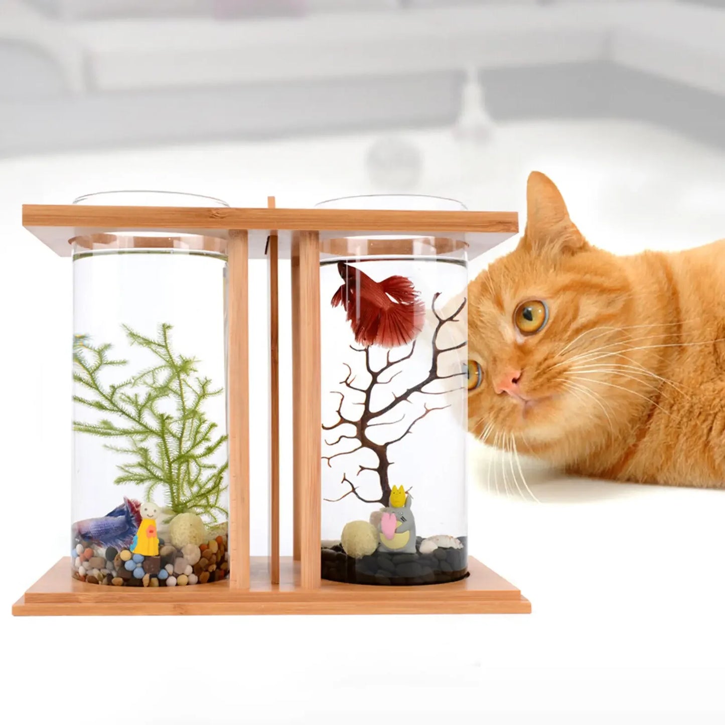 Glass Betta Fish Tank With LED Light And Bamboo Base