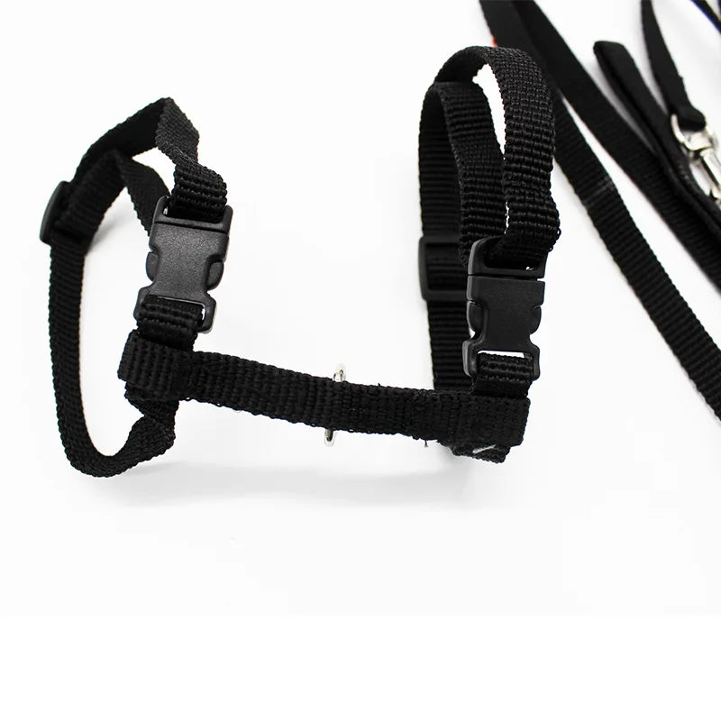 XLeiPet Adjustable Cat Collar Harness Set For Pets