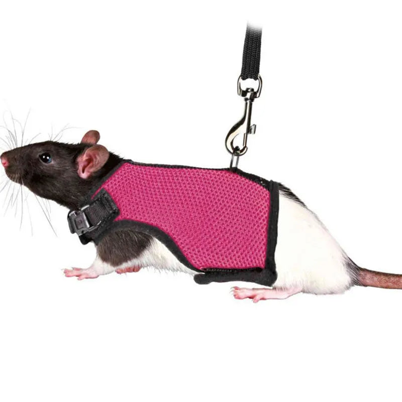 Summer Breathable Mesh Leash Harness for Guinea Pigs, Rabbits, Ferrets