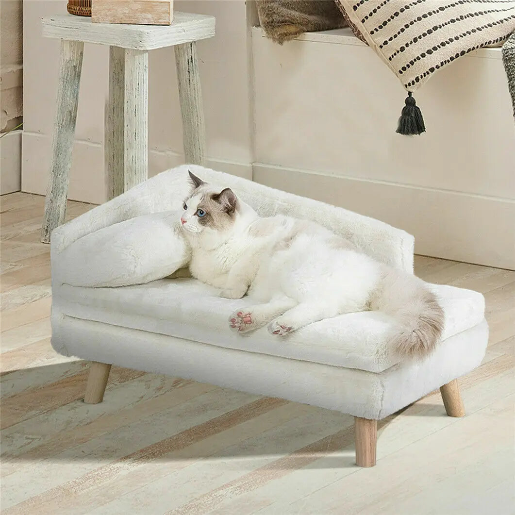 Elevated Pet Bed With Solid Wood Legs For Indoor Comfort