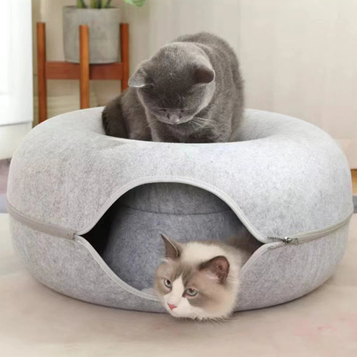 LANGXINGCS Donut Cat Bed Tunnel Toy Cats