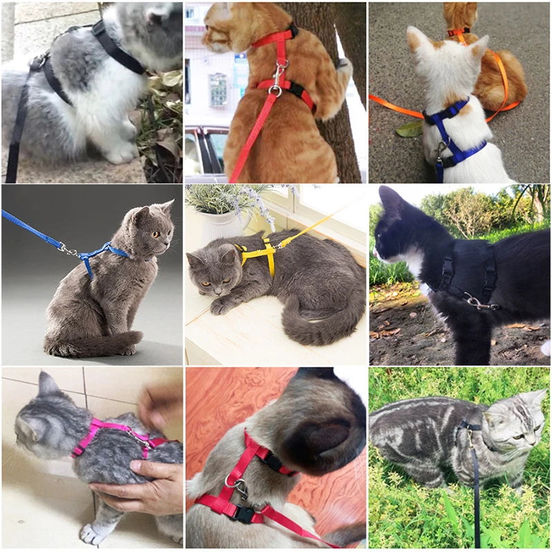 XLeiPet Adjustable Cat Collar Harness Set For Pets