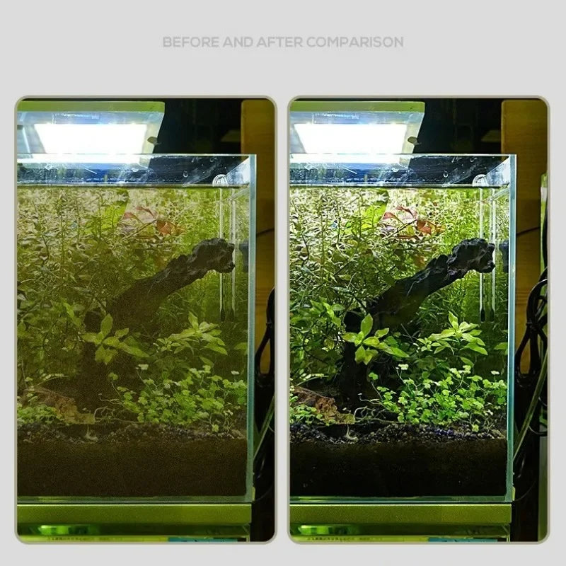 Fish Tank Cleaning Tool Dual-Use Glass Algae Scraper For Aquarium