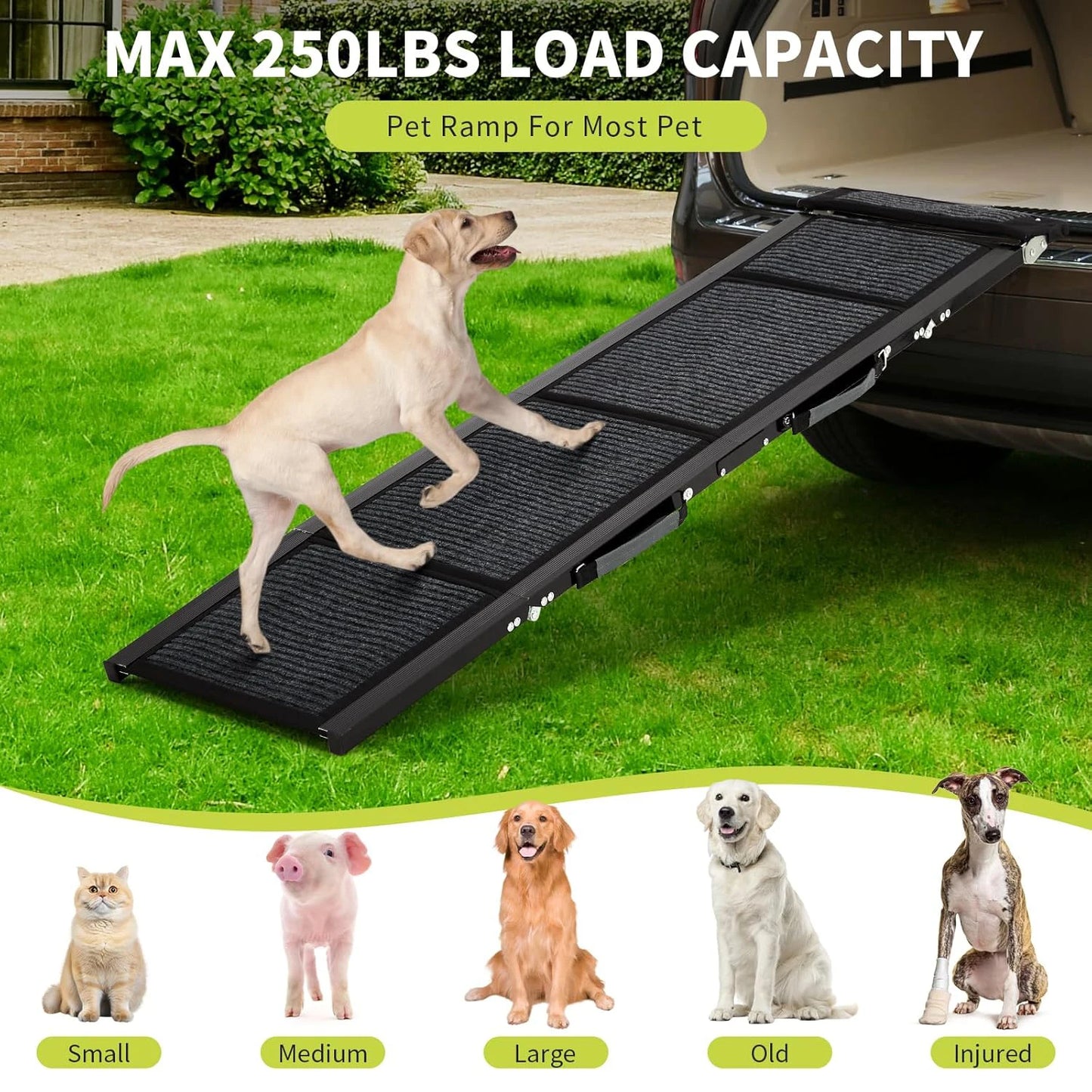 HiMISS Folding Dog Ramp For Cars Non Slip 250Lbs Pro