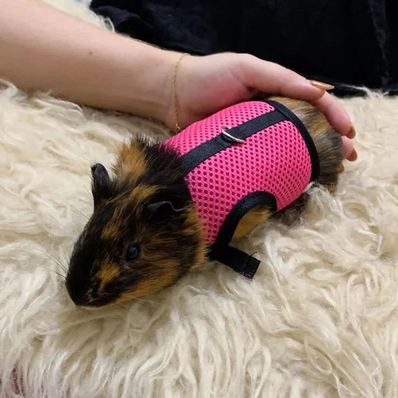 Summer Breathable Mesh Leash Harness for Guinea Pigs, Rabbits, Ferrets