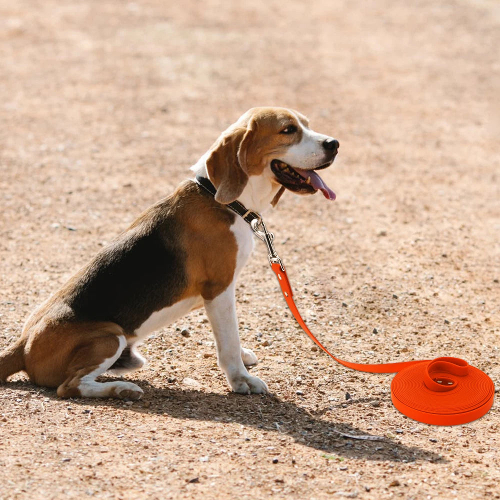 Livepetsme Waterproof Dog Leash Long PVC Training Lead