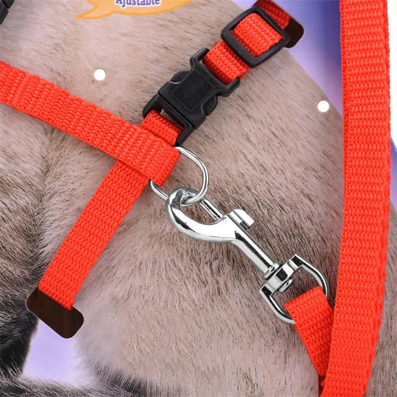 XLeiPet Adjustable Cat Collar Harness Set For Pets