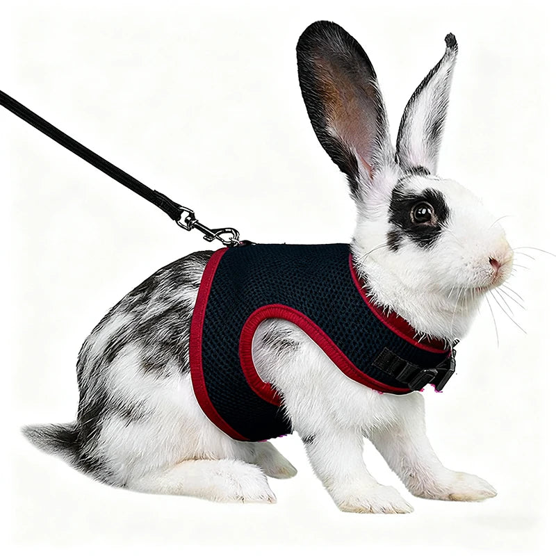 Summer Breathable Mesh Leash Harness for Guinea Pigs, Rabbits, Ferrets