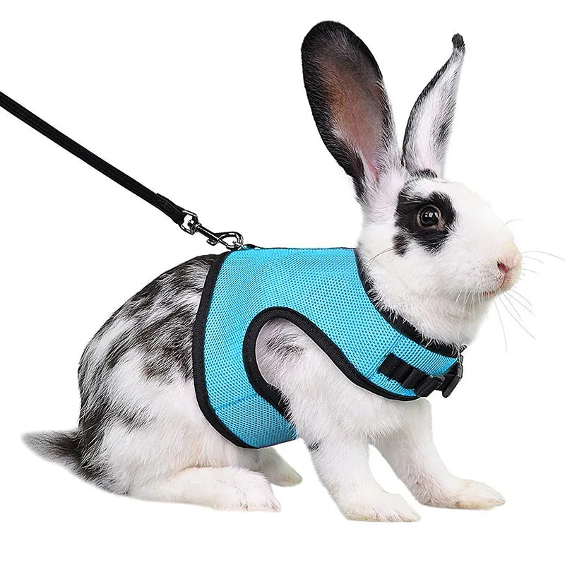 Summer Breathable Mesh Leash Harness for Guinea Pigs, Rabbits, Ferrets