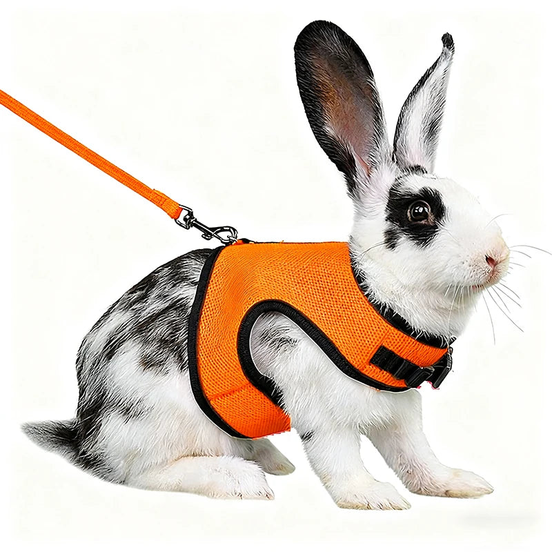 Summer Breathable Mesh Leash Harness for Guinea Pigs, Rabbits, Ferrets