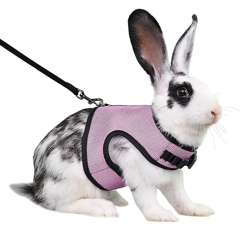 Summer Breathable Mesh Leash Harness for Guinea Pigs, Rabbits, Ferrets