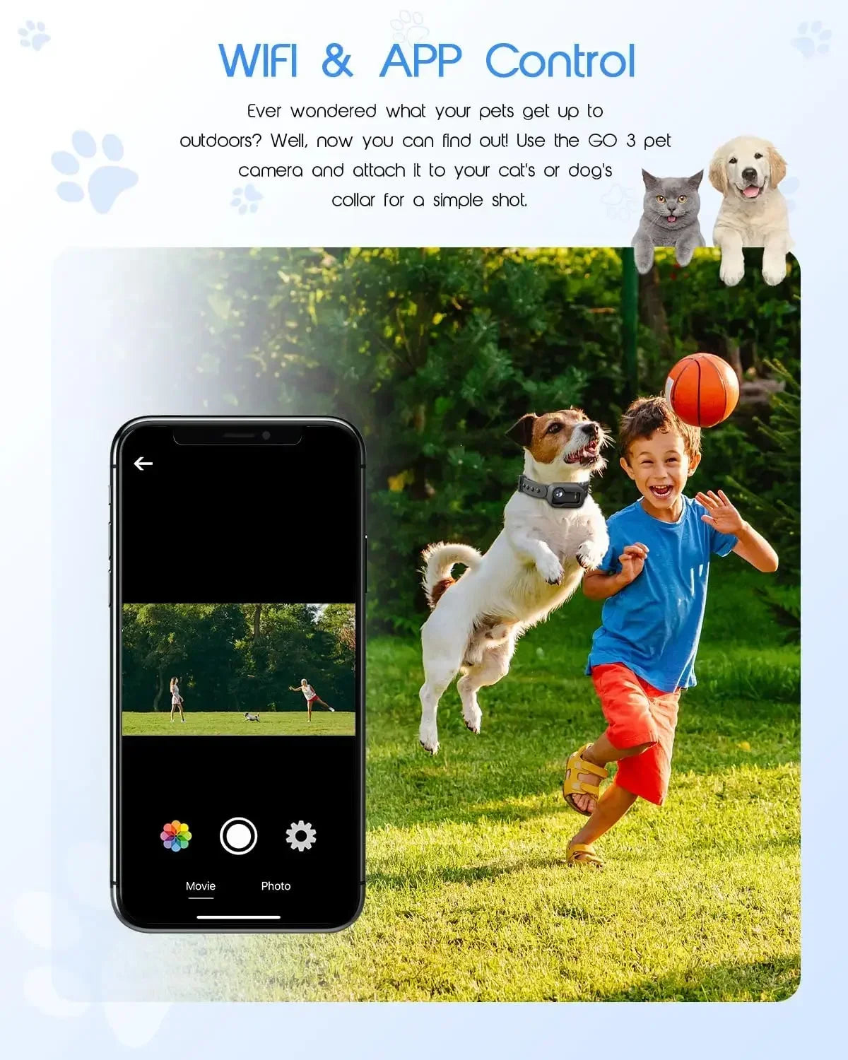 4K Feline Collar Camera With 64GB SD Card And WiFi